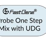 2-in-1 step | Reverse transcription and PCR amplification