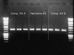 FastGene® Plasmid Mini Kit - Ausbeute-Vergleich 