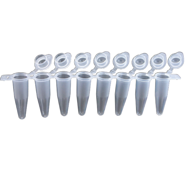 8-well PCR Tube Strips 0.2 mL mit gewölbten Deckeln