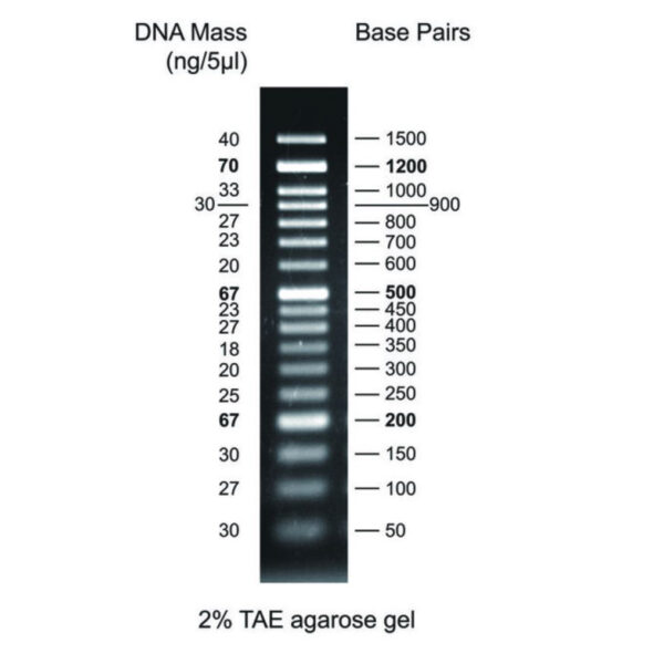 MWD50 - 50 bp DNA ladder with 17 bands