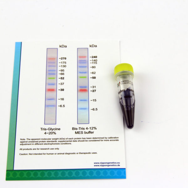MWP06 BlueEasy Protein Marker - vial and map