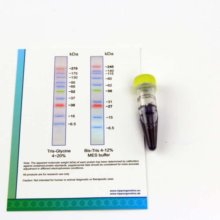 BlueEasy Prestained Protein Marker NIPPON EUROPE