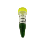 DNA Marker