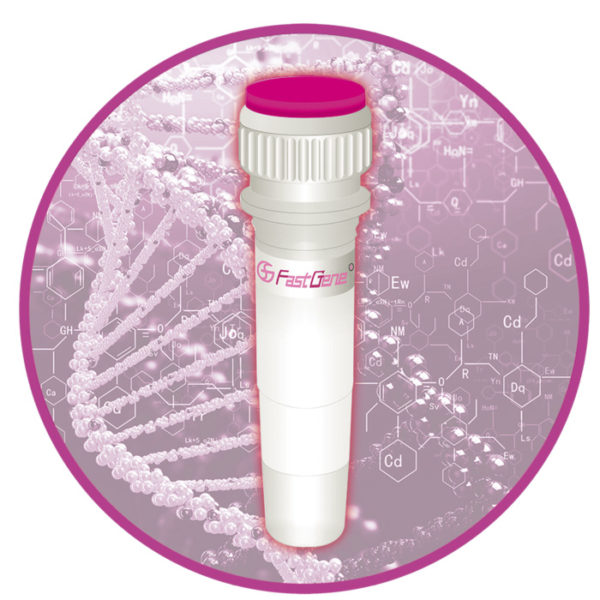 FastGene Scriptase Basic