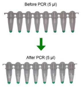 PCR-Tubes