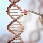 Ligases