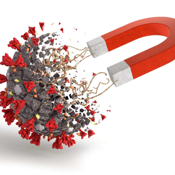 FastGene Mag Virus Kit