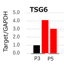  Fig. 3 qPCR analysis of TSG6 MSCs cultured with StemFit For MSC (red bar) maintained higher TSG6 gene expression compared to DMEM containing 10% FBS (black bar).