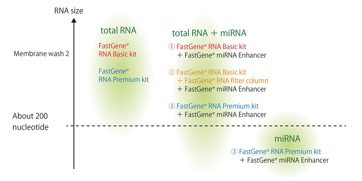 Use of the FastGene miRNA Enhancer in combination with RNA purification kits