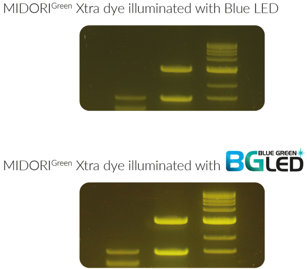 Blue/Green LED Technology | Better signals