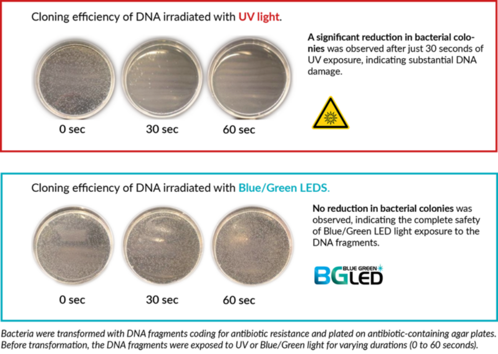 Blue/Green LED Technology | Keep your sample integrity