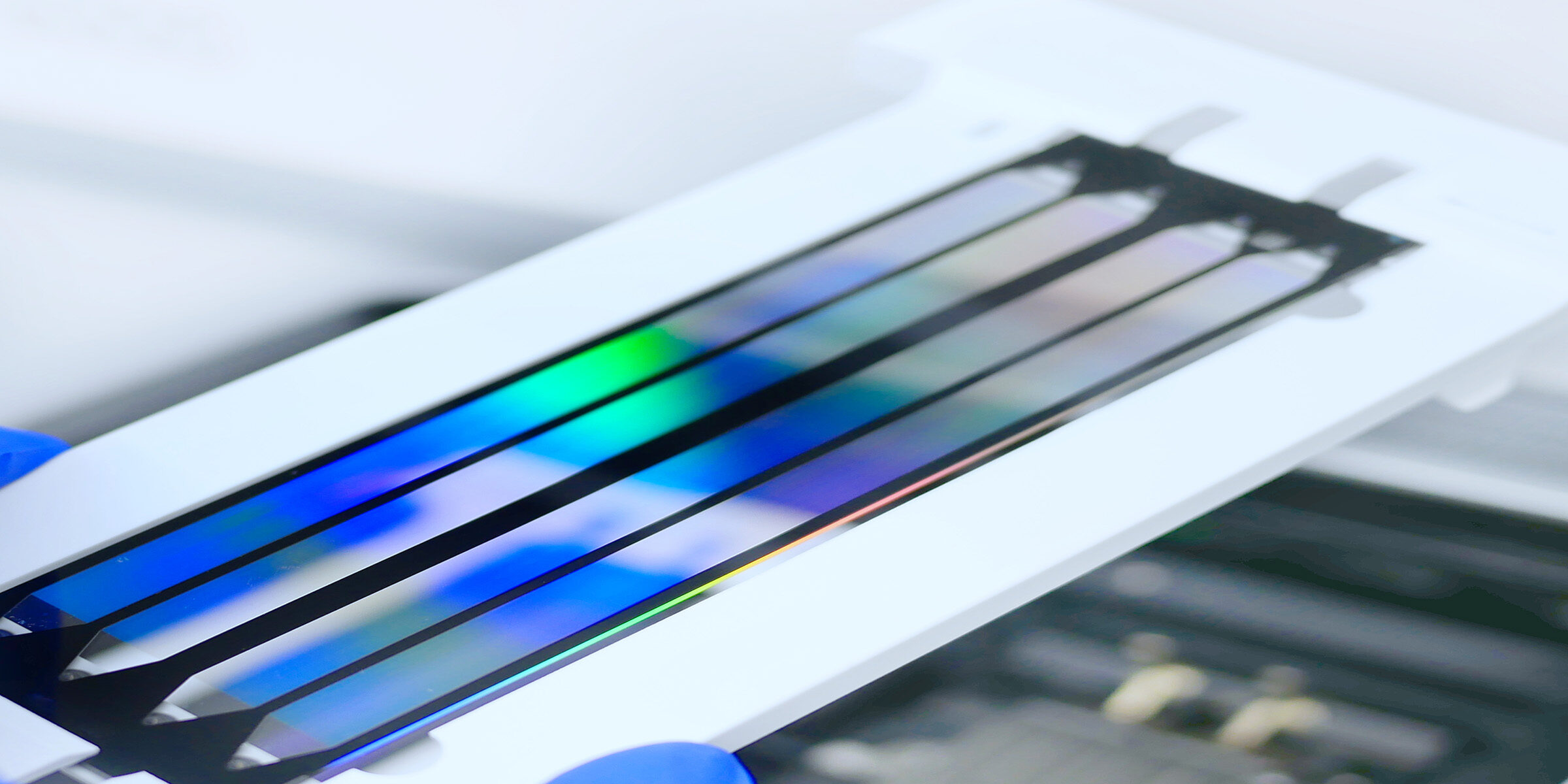 NGS | NIPPON Genetics EUROPE