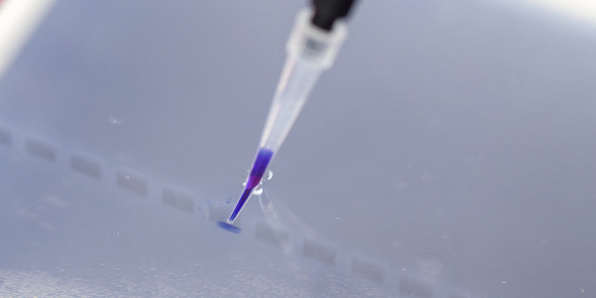 Running/Loading Buffer NIPPON EUROPE