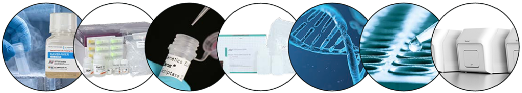 qPCR Workflow