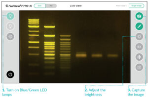 FastGene FAS-X Gel Gel Documentation System | Intuitive Software