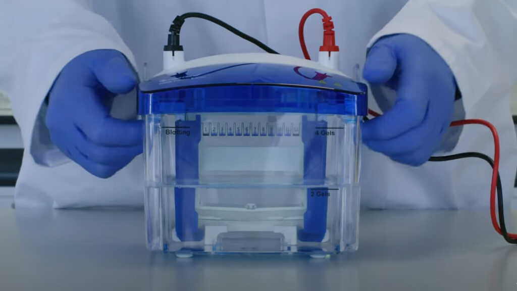 Thumbnail for the FastGene PAGE Protein System tutorial video