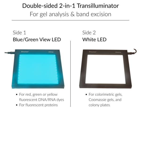 FastGene Slim Blue/Green View LED Transilluminator | FG-08slim | 2-in-1 Transilluminator