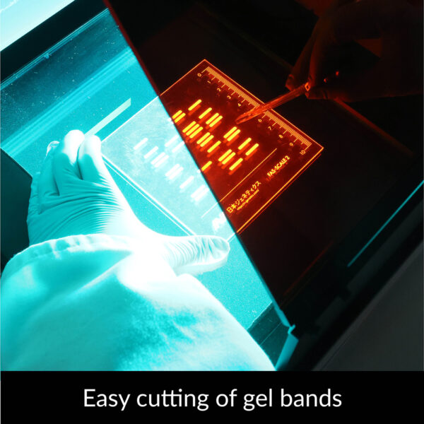 Amber Board for FAS-X | Easy cutting of gel bands | Video thumbnail