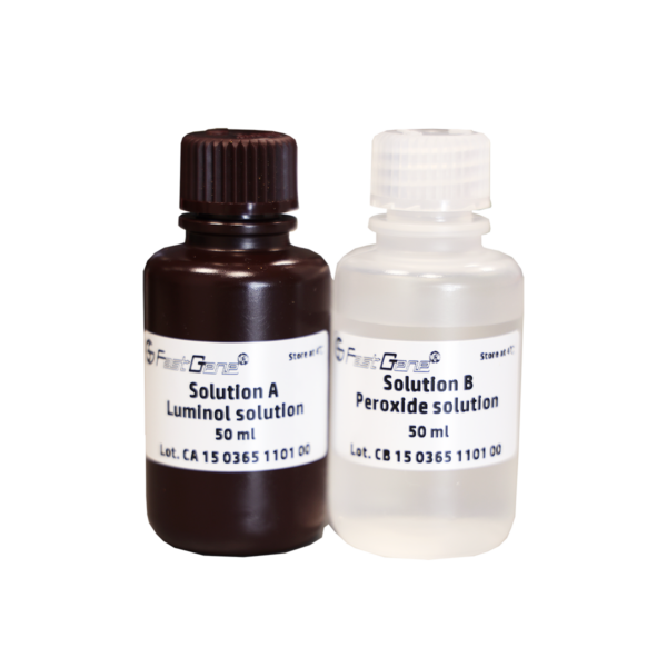 FastGene Western ECL Kit (FG-CH01) 2 bottles (peroxide and luminol solution)