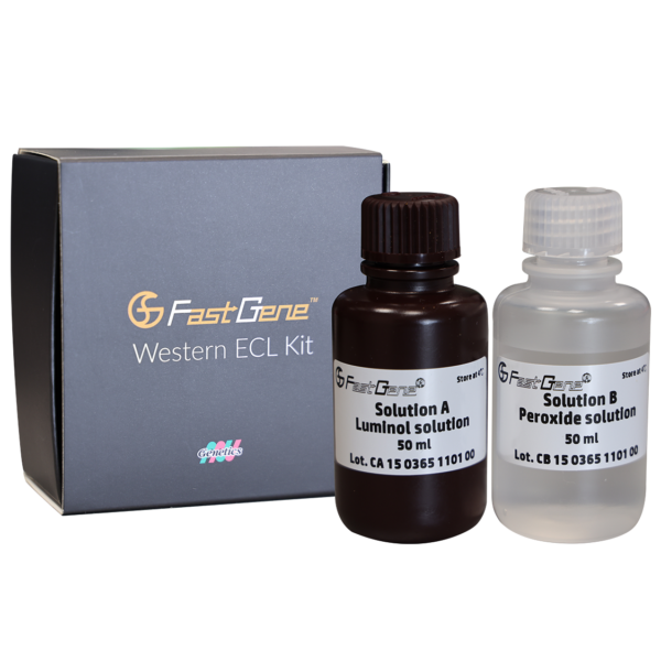 FastGene Western ECL Kit (FG-CH01) 2 bottles and package