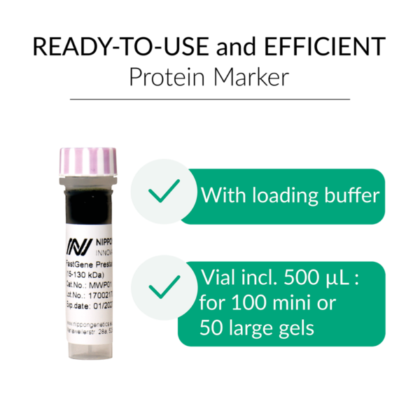 FastGene Prestained Protein Marker | MWP01 | Ready-to-use