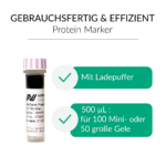 FastGene Prestained Protein Marker | MWP01 | Gebrauchsfertig und effizient