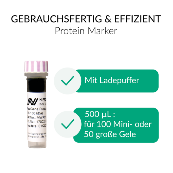 FastGene Prestained Protein Marker | MWP01 | Gebrauchsfertig und effizient