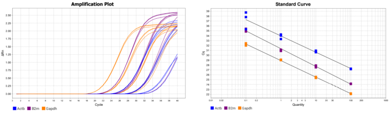 FastGene qFYR Real-Time PCR System - NIPPON Genetics