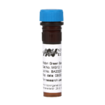 MIDORI Green Easy (MG12) | Vial with blue lid