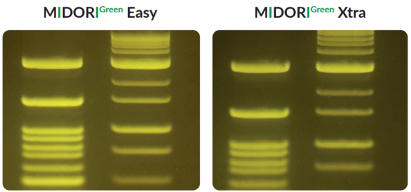 MIDORI Green and MIDORI Easy - comparison of sensitivity