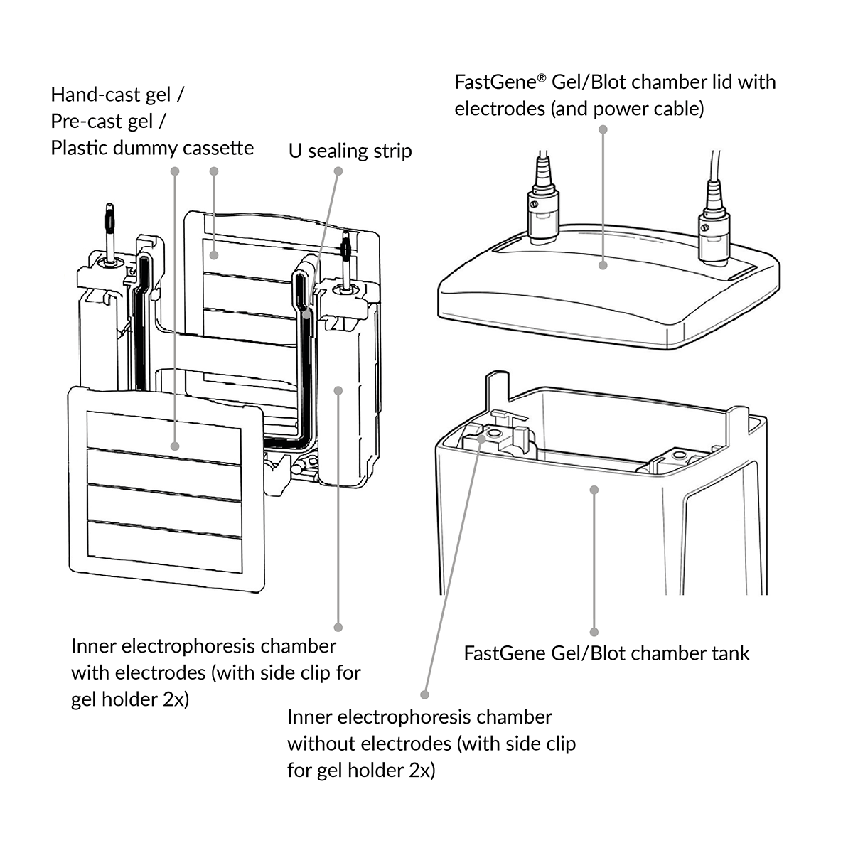 FastGene PAGE Protein System - General setup (drawing)