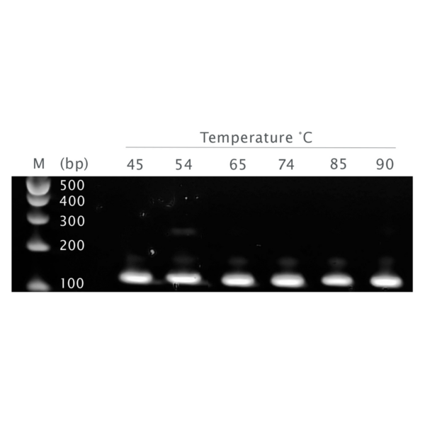 PCRBIO UltraScript Reverse Transcriptase - Wide temperature range