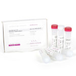 PCRBIO UltraScript Reverse Transcriptase (PB30.33-04)