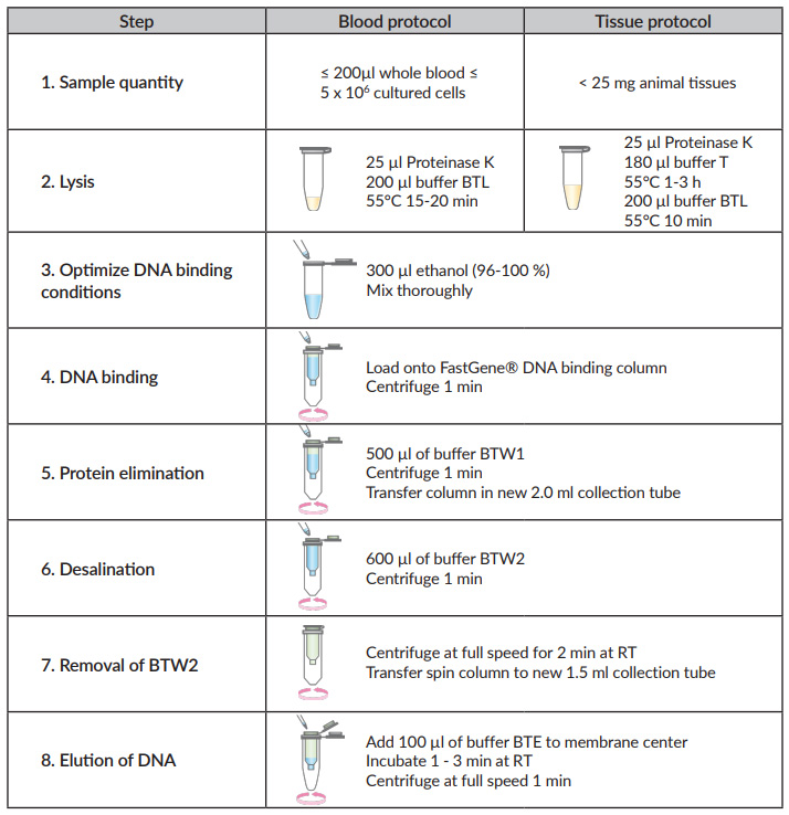 Short protocol | FastGene Blood & Tissue gDNA Extraction Kit | FG-70