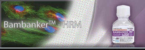 Bambanker HRM Gefriermedium für ES/iPs Zellen von Primaten